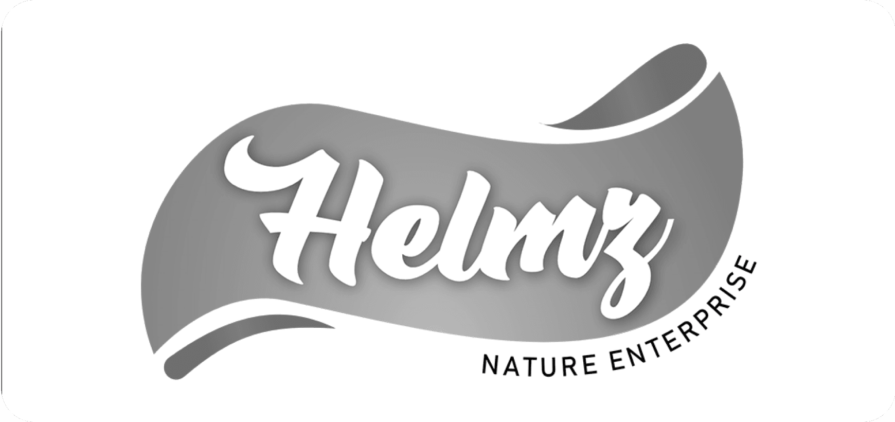 Helmz - Redesign for packaging Project Image